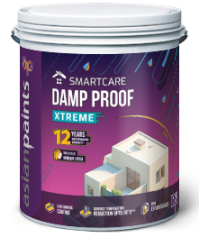 Exterior Paint